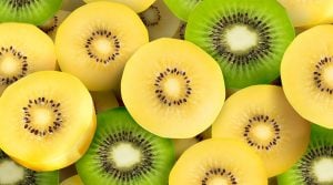 kiwi 2