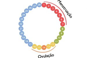 como calcular período fértil 1